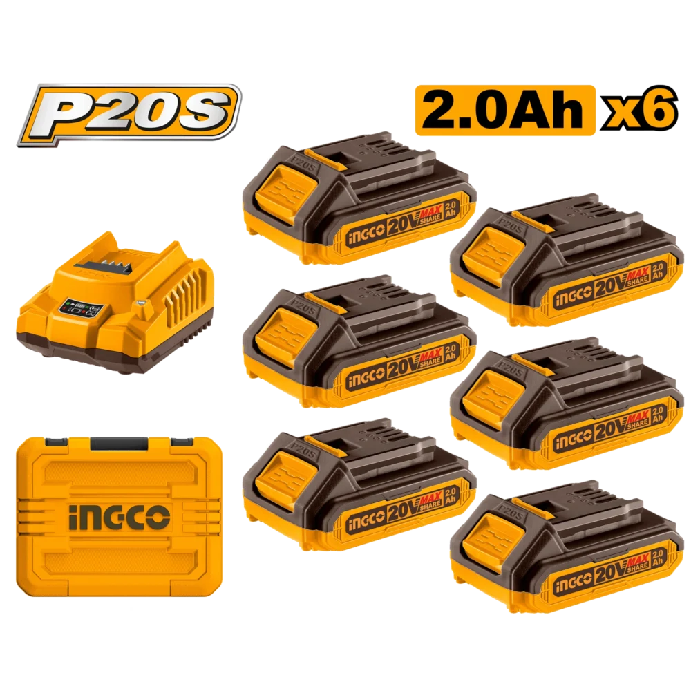 Set Incarcator + Acumulator 20V/6*2Ah INGCO FBCLI20611