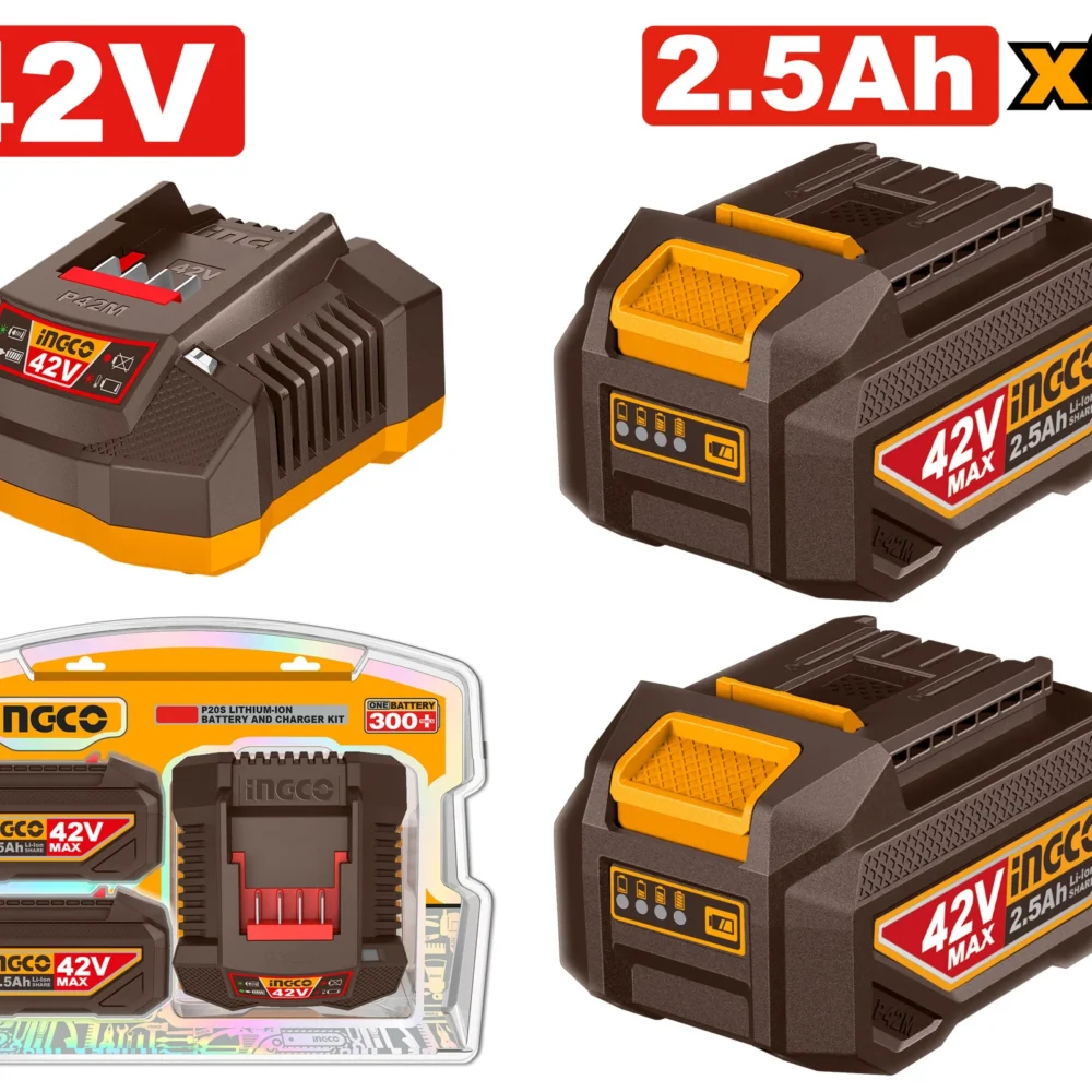 Set Incarcator + Acumulator 42V/2*2.5Ah INDUSTRIAL INGCO FBCPM25221