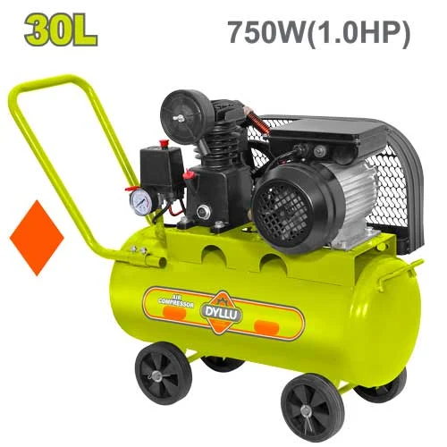 Compresor DYLLU DTAP4A13 30L